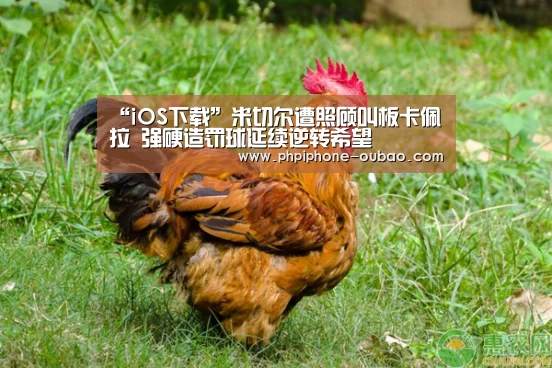 欧宝体育APP